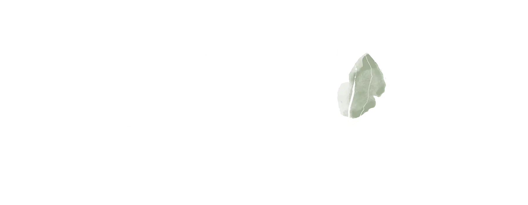 НОВОСТЬ Гастрономическое путешествия SAGE и VOYAH в Карелию
